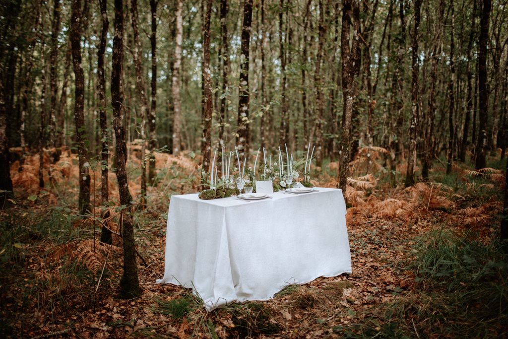 centre table feuillage mousse foret végétal bougies