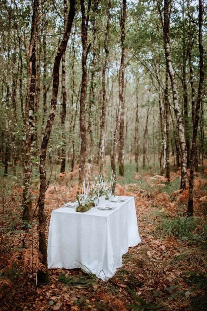 centre table feuillage mousse foret végétal bougies