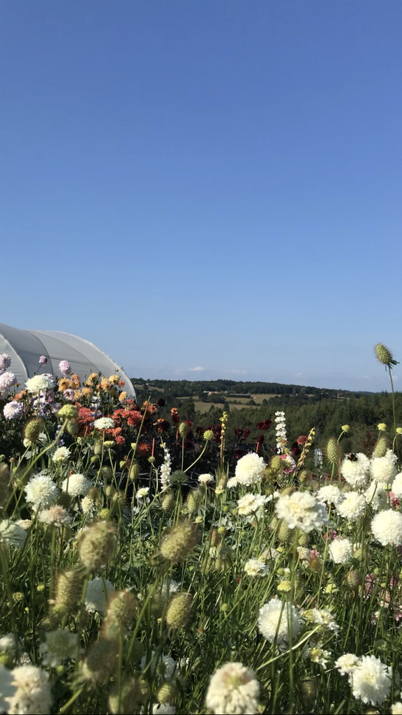 ferme florale workshop les batisses atelier aimer